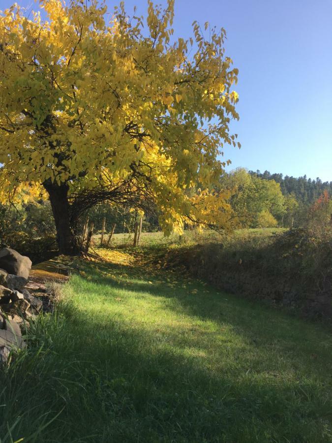 Le Chatel En Beaujolais Valsonne Εξωτερικό φωτογραφία