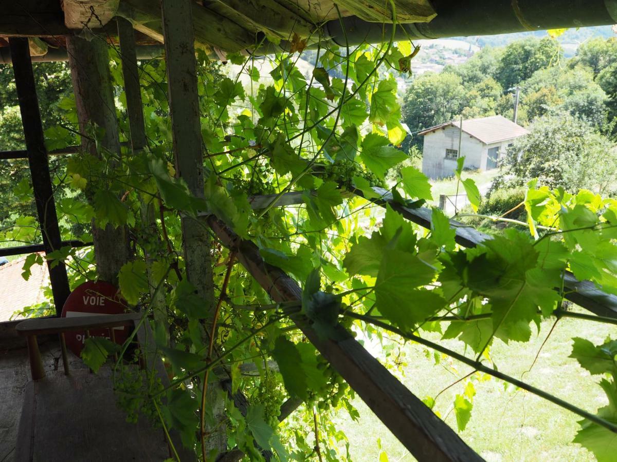 Le Chatel En Beaujolais Valsonne Εξωτερικό φωτογραφία
